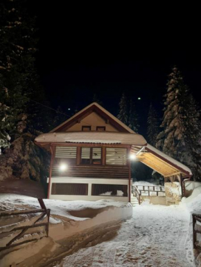 Winter cottage TT